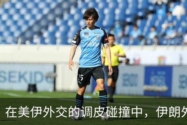 在美伊外交的调皮碰撞中，伊朗外长求保护